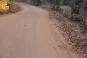 Screenshot_2025_0516_204353