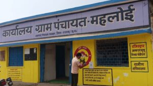 WhatsApp Image 2025-05-12 at 20.35.32_7e6641cc