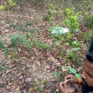 WhatsApp-Image-2025-05-17-at-9.16.09-AM