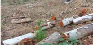 Screenshot_2025_0607_143143