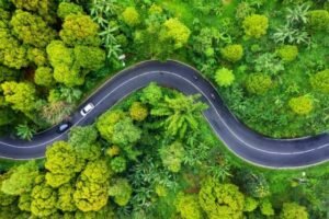 aerial-view-road-forest-highway-throu-forest-view-drone-natural-landscape-summer-time-air-travel-148337384