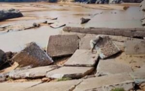 IMG_20250722_145231 (1)