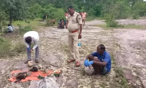 IMG-20250819-WA0016-780x470