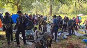 Screenshot_2025_1016_233717