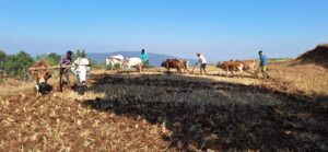 WhatsApp Image 2025-10-24 at 19.28.54_3379c522