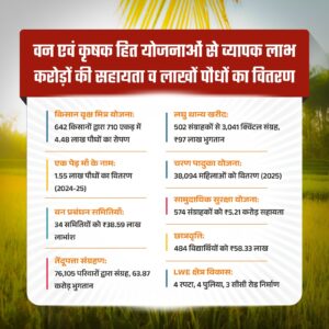 WhatsApp Image 2025-11-20 at 15.45.45_9071fb84