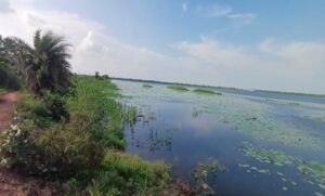 WhatsApp Image 2025-11-21 at 12.37.27_ccac5f79