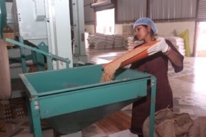 WhatsApp Image 2026-01-07 at 3.48.46 PM