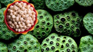 WhatsApp Image 2026-03-07 at 5.51.28 PM