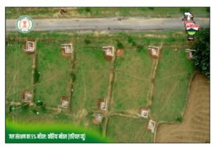 WhatsApp Image 2026-03-29 at 2.47.37 PM