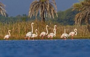 IMG_20260521_231600