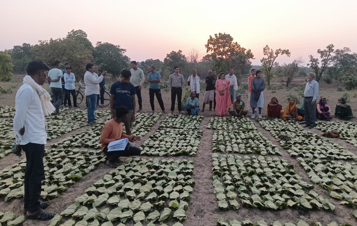 साय सरकार में तेन्दूपत्ता संग्राहकों को मिली आर्थिक मजबूती.. 10,160 हितग्राहियों के खातों में पहुँची 1.39 करोड़ रुपये से अधिक की बोनस राशि
