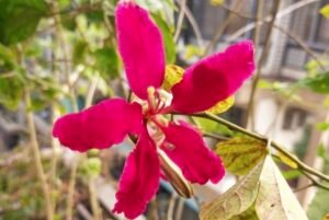 IMG_20251205_233746