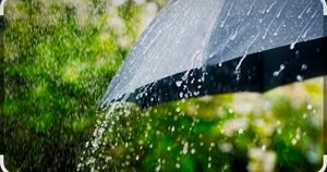 IMG_20261025_225458